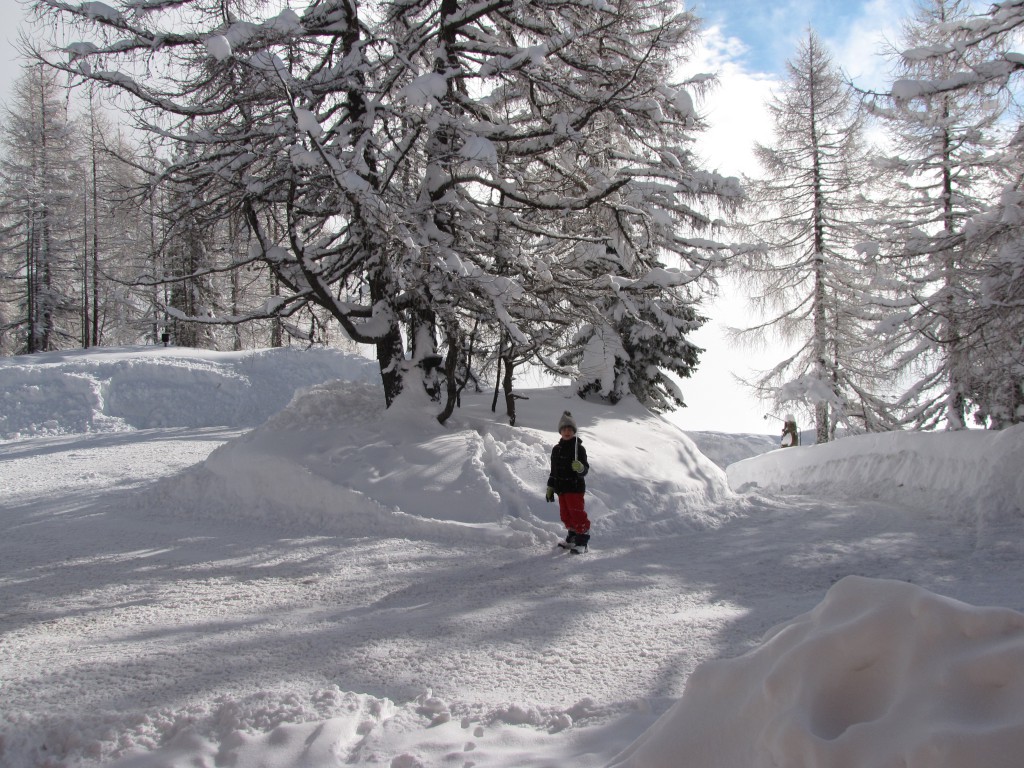 Mika im Schnee1